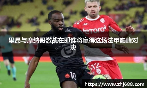 智博19